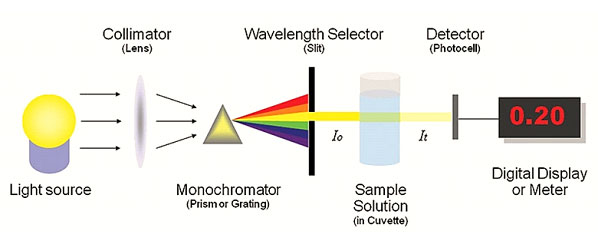 Spectrophotometry3